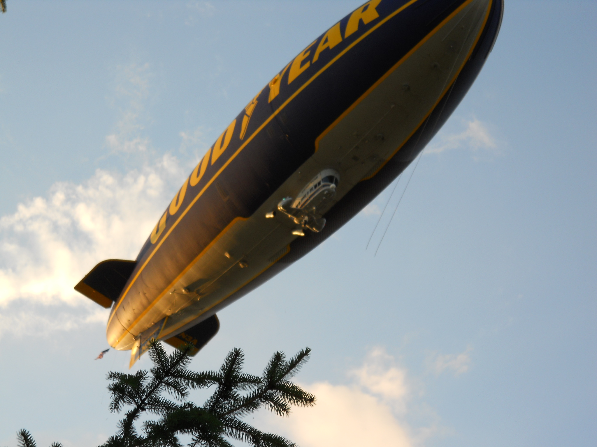 BLIMP!!!