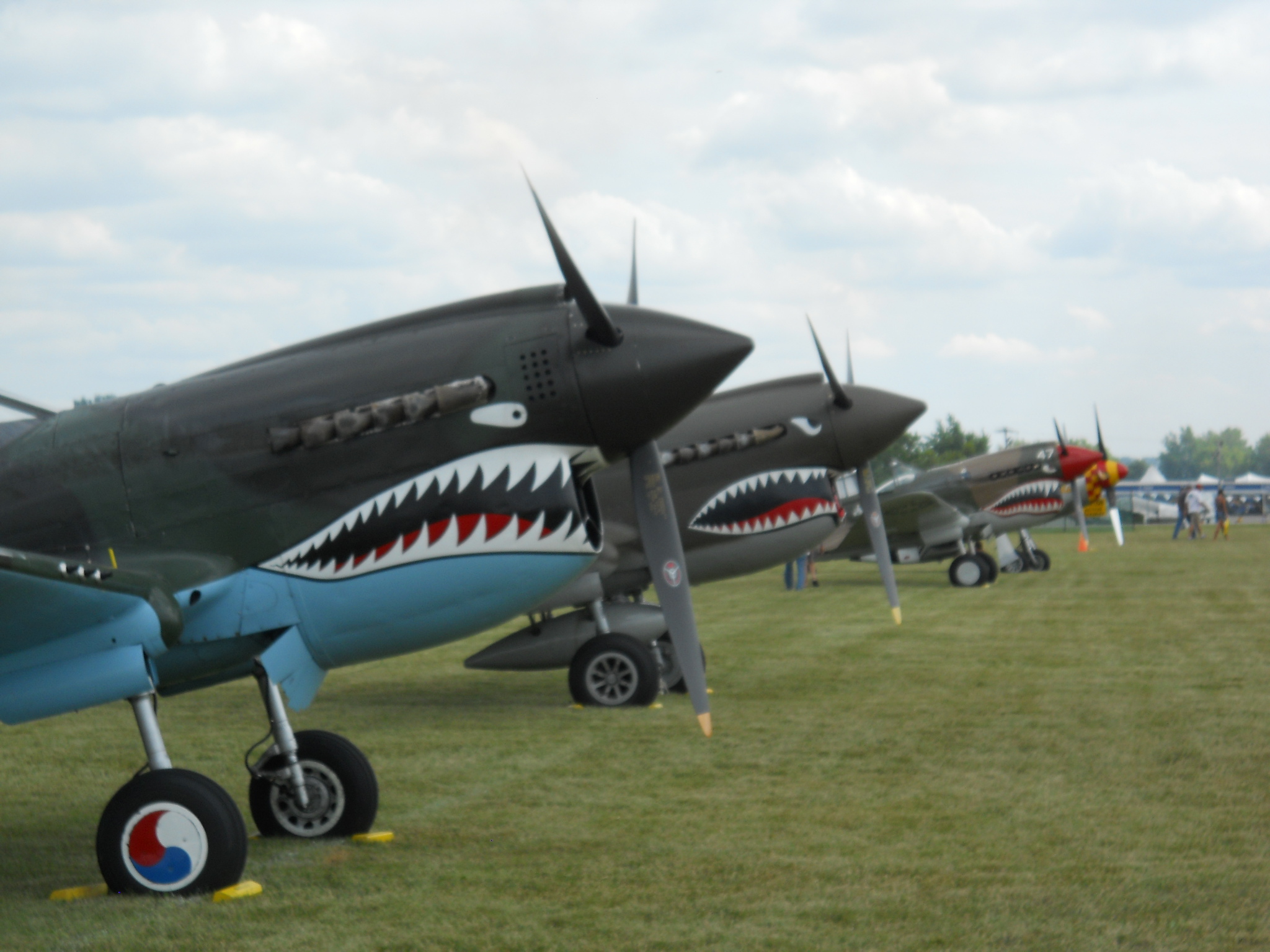 Grrr...! (Lots of P-40s here this year!)